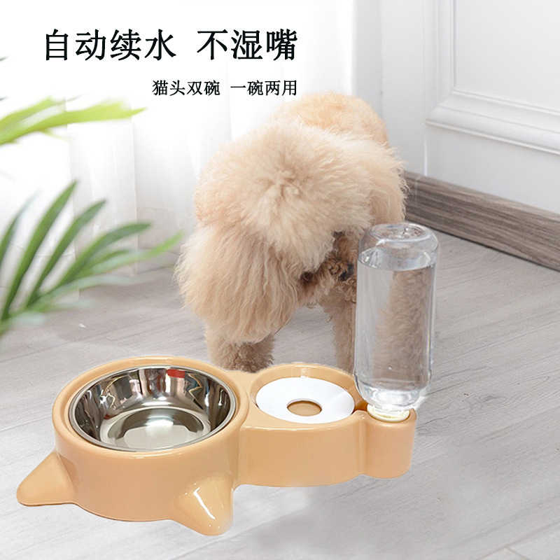 Ăn thịt mèo, tắm mèo, uống nước mà không có miệng ướt.