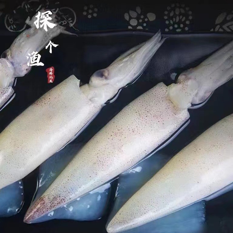 Đến đảoyama với mực ống hạt giống, thỏ với ống cơm, mực trứng nhanh chóng đông lạnh. Cá đầy hạt.