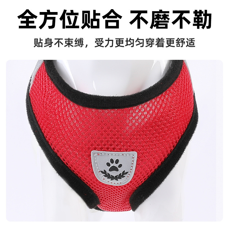The pet-to-twirling dog-to-cat-to-cat-to-breath-to-be-repeated dog-to-dog chain item.
