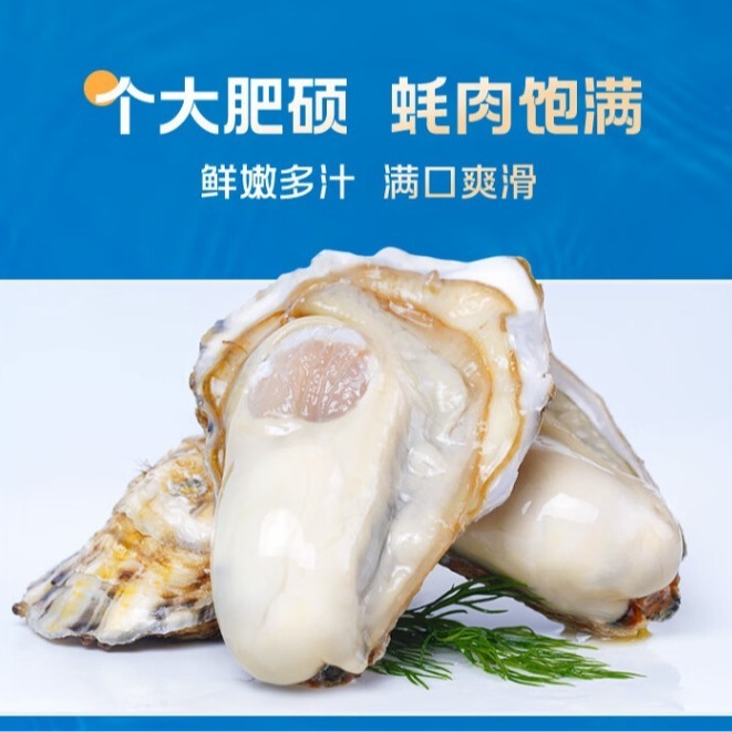 토시야마에는 250 그램의 크기가 세 번, 약 10 또는 굴과 황새가 있습니다.