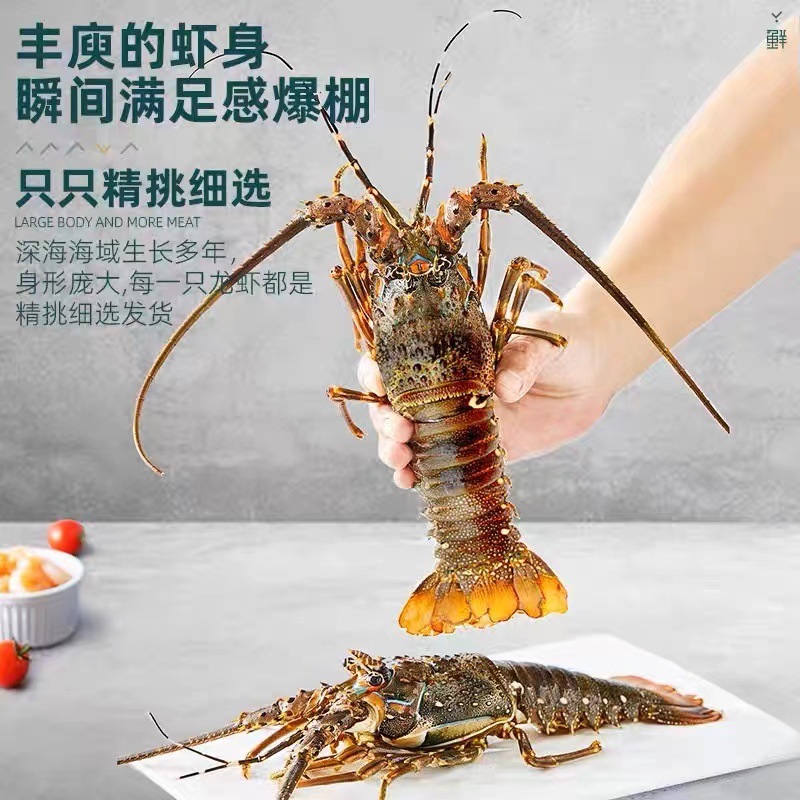 Một con tôm hùm xanh nhỏ.