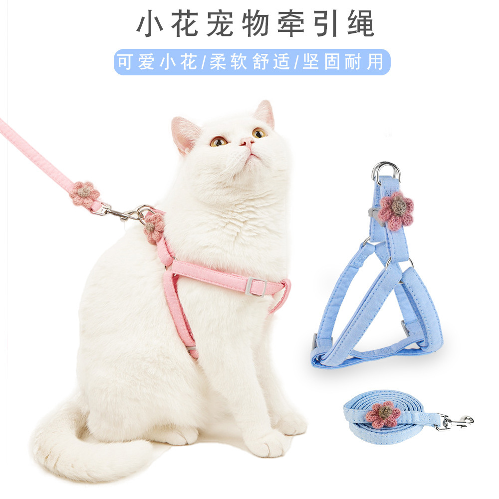 A new flower dog tow rope.
