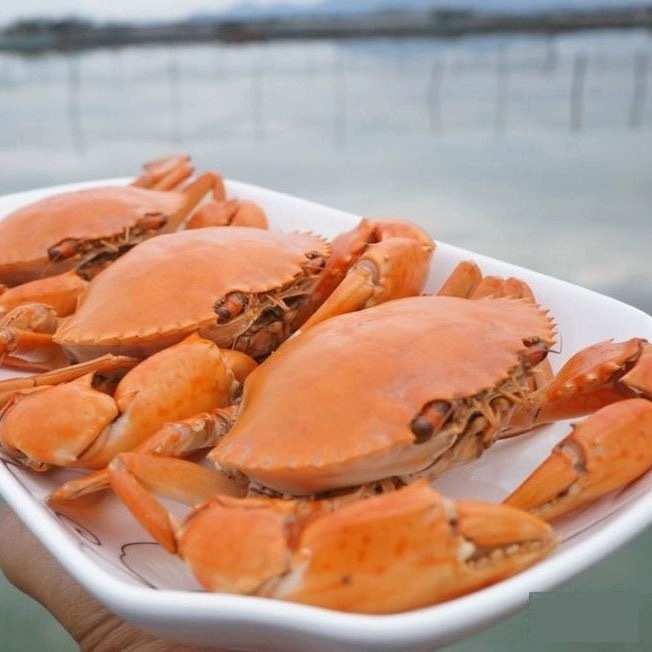 cua đỏ và đỏ, cua đỏ và xanh, đỏ và cua sống, đỏ và đỏ.