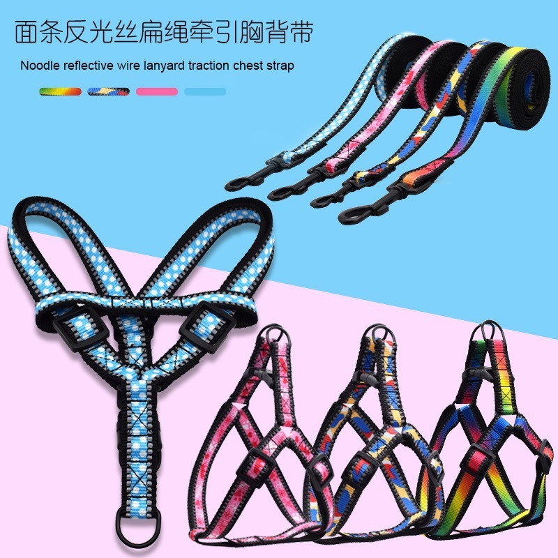 Dây chó tương tác với nhau, dây chuyền con chó cỡ nhỏ và cỡ trung bình, và thú nuôi từ lưng đến chân.