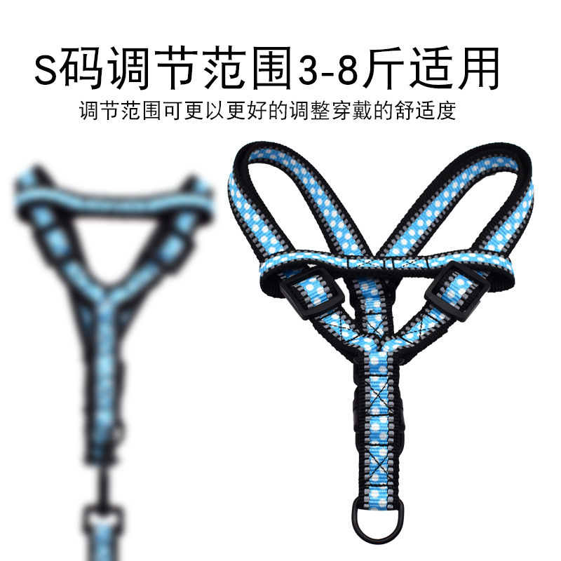 Dây chó tương tác với nhau, dây chuyền con chó cỡ nhỏ và cỡ trung bình, và thú nuôi từ lưng đến chân.