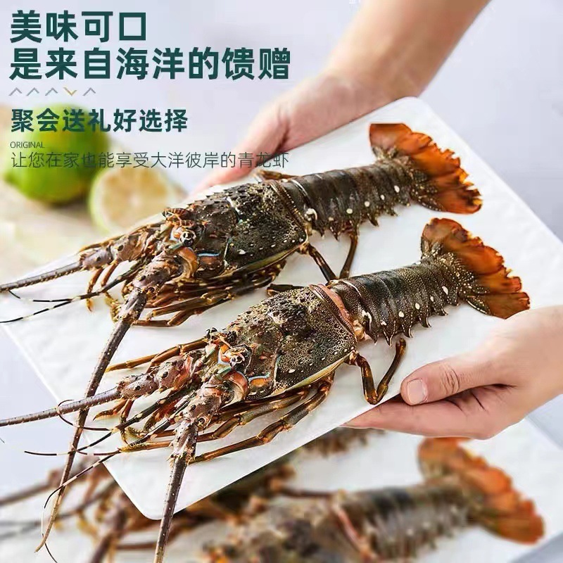 Một con tôm hùm xanh nhỏ.