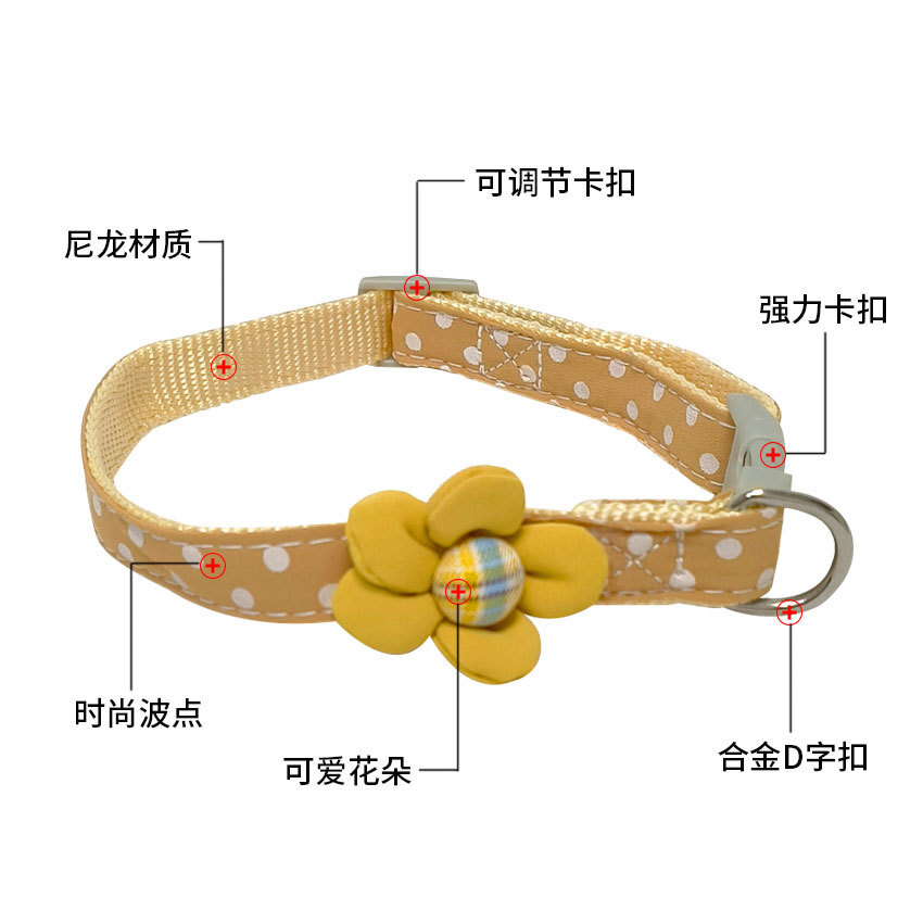 Một vật nuôi mới cho hoa, cổ mèo, một con diều nhỏ Teddy Bohmi.