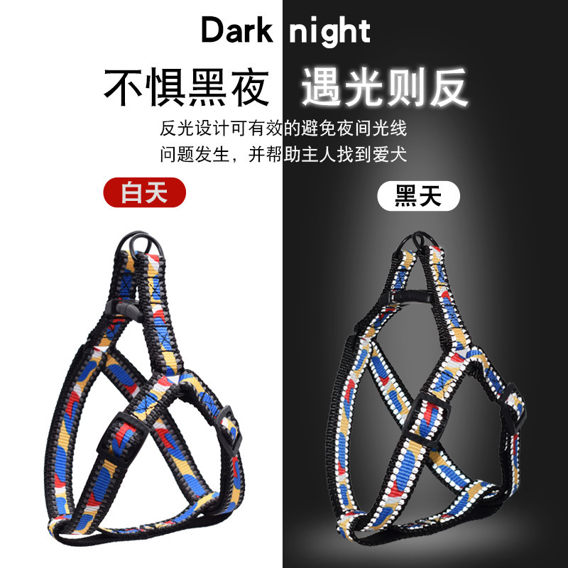 Dây chó tương tác với nhau, dây chuyền con chó cỡ nhỏ và cỡ trung bình, và thú nuôi từ lưng đến chân.