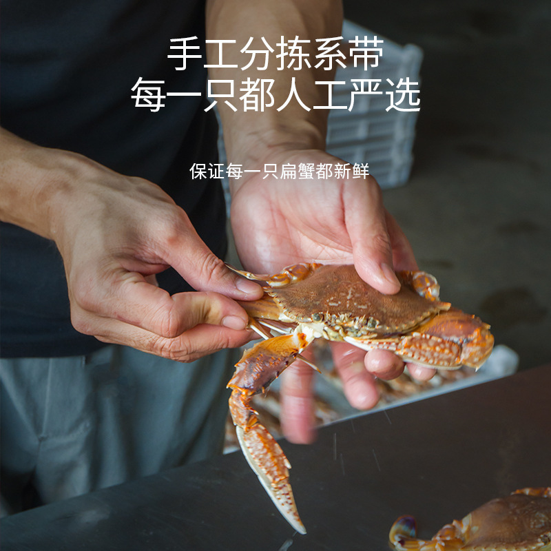 Địa điểm sản xuất hải sản của đảo Fujian Shan là nguồn cấp dữ liệu trực tiếp cho khách sạn Krabby Crab Crusts.