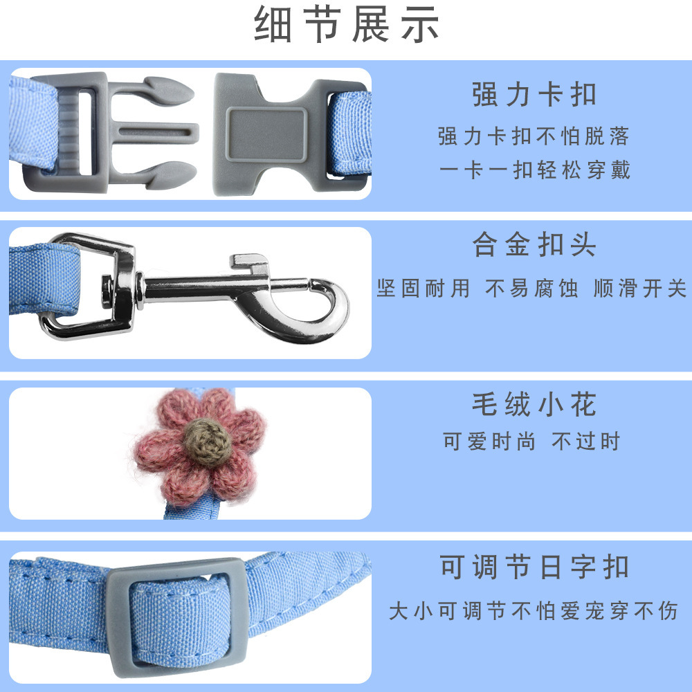 Một con chó mới kéo dây.