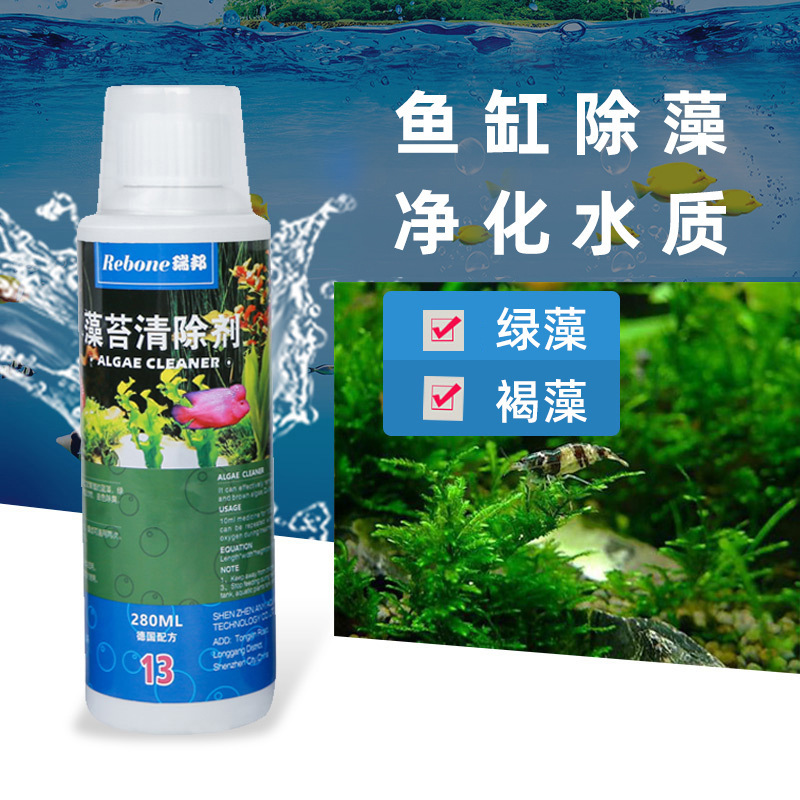 Rhebon fish tank, black moss removal agent, 52 formal algae algae moss, blue green algae.