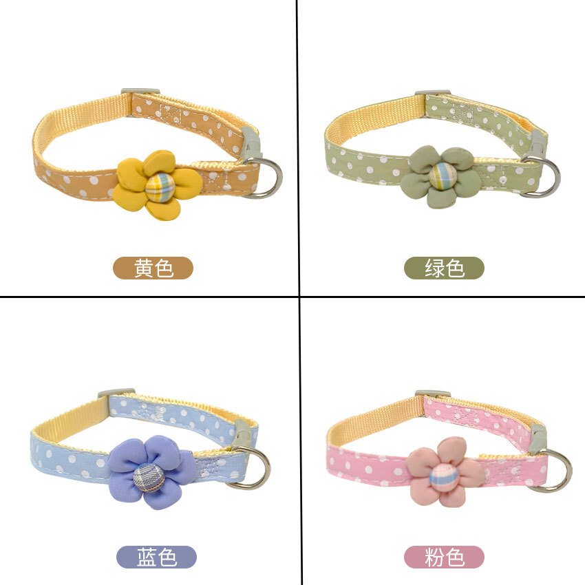 Một vật nuôi mới cho hoa, cổ mèo, một con diều nhỏ Teddy Bohmi.