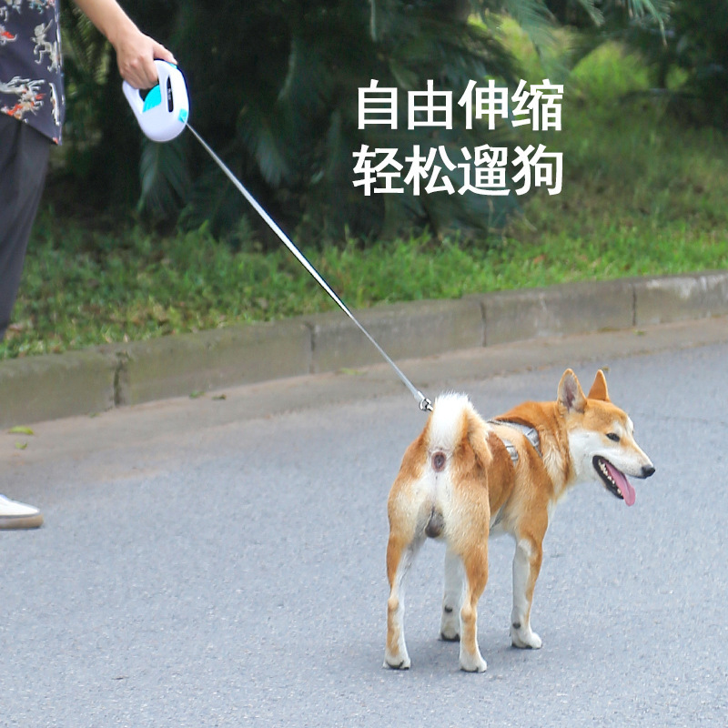 The cross-border explosive dog automatically stretches the tug of the teddy-kokee small and medium-sized dog outside the house to hold the dog chain.