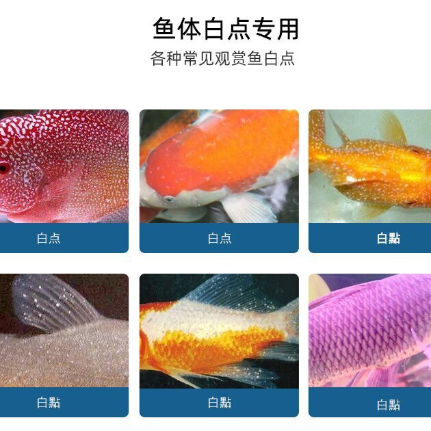 工廠批發觀賞魚魚藥熱帶魚龍魚藥水魚缸消化細菌水族用品硝化細菌