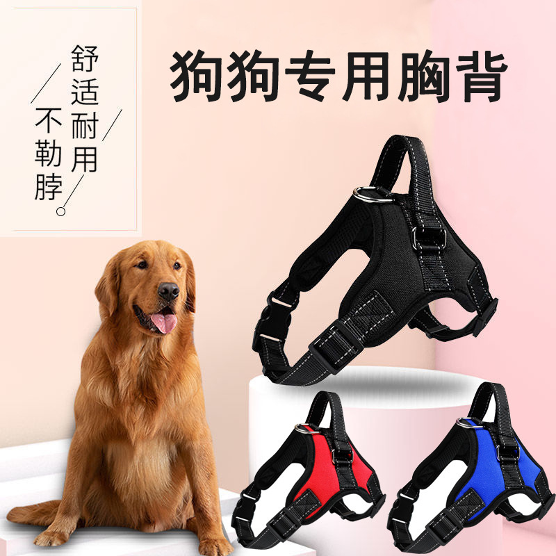 Nhà sản xuất bán cái lồng ngực của con chó từ ngực này sang ngực khác để thở bằng xương sườn của Oxford cho chó lai.