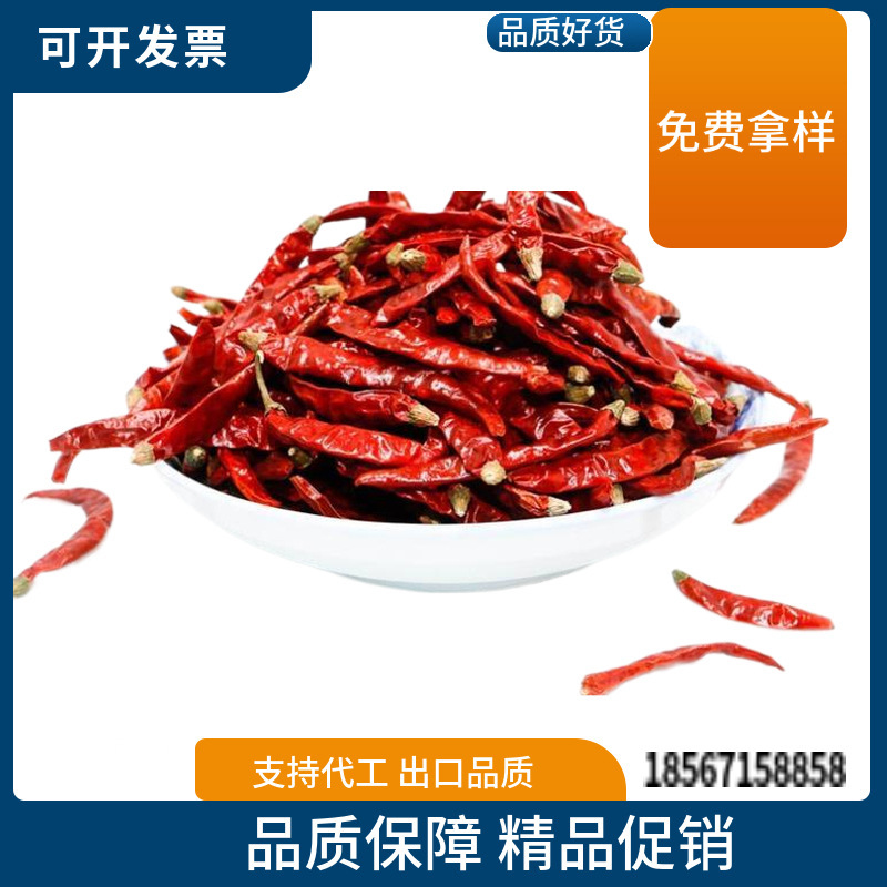 전체 캡, 인도 페퍼, 칠리 페퍼, 인도 악마 페퍼, 핫 코크 소스.