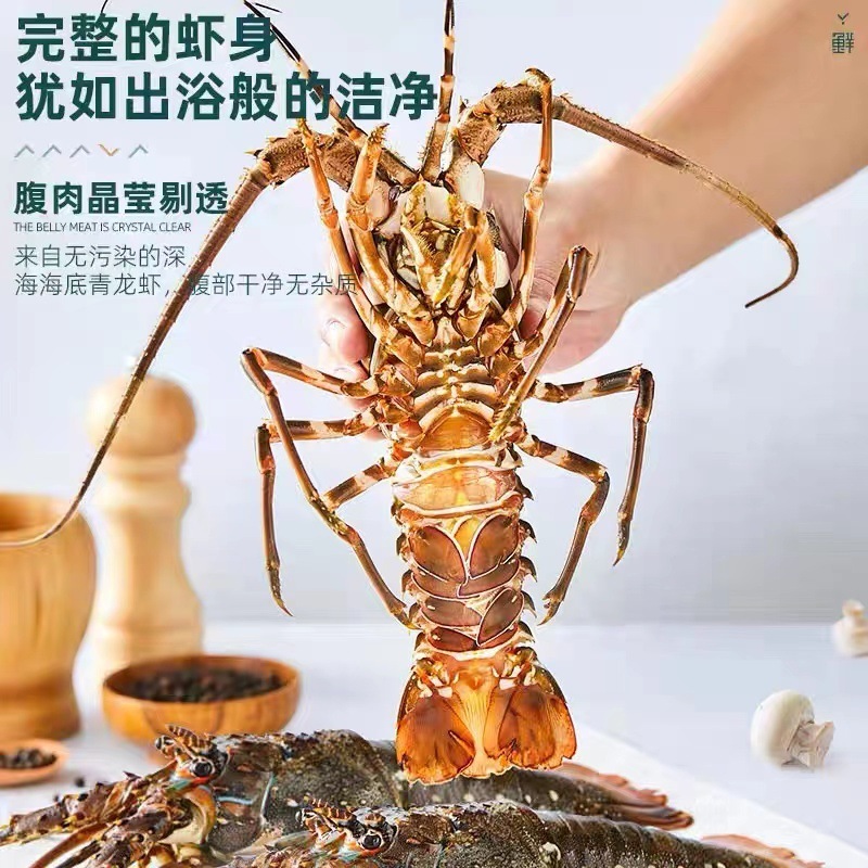 Một con tôm hùm xanh nhỏ.