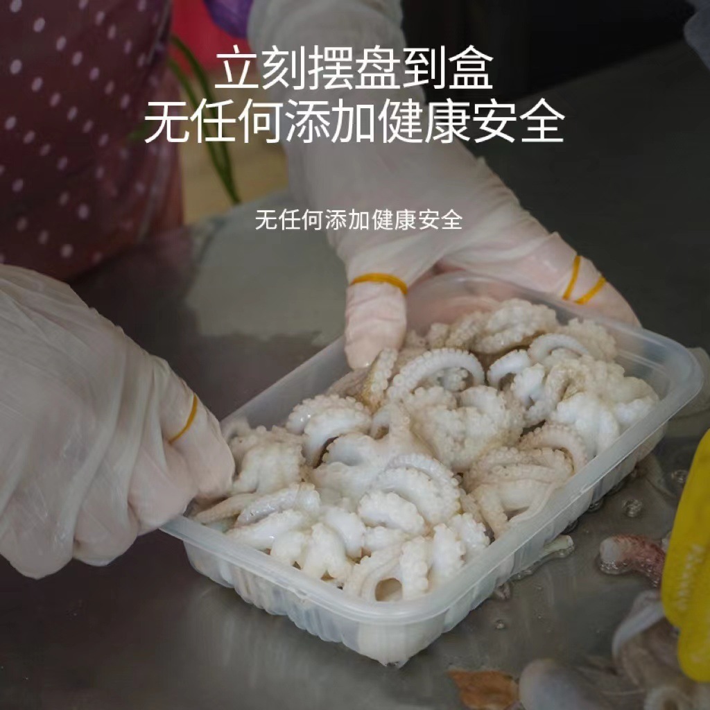 Bạch tuộc, 400g bạch tuộc, bạch tuộc, bạch tuộc.