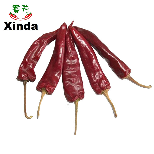 Yingdu의 칠리 칠리 칠리 칠리 칠리 칠리 칠리 칠리 칠리 칠리 칠리 칠리 칠리 칠리 칠리 칠리 칠리 칠리 칠리 칠리 칠리 칠리 칠리 칠리 칠리 칠리 칠리 칠리 칠리 칠리 칠리 칠리 칠리 칠리 칠리 칠리 칠리 칠리 칠리 칠리 칠리 칠리 칠리 칠리 칠리 칠리 칠리 칠리 칠리 칠리 칠리 칠리 칠리 칠리 칠리 칠리 칠리 칠리 칠리 칠리 칠리 칠리 칠리 칠리 칠리 칠리 칠리 칠리 칠리 칠리 칠리 칠리 칠리 칠리 칠리 칠리 칠리 칠리 칠리 칠리 칠리 칠리 칠리 칠리 칠리 칠리 칠리 칠리 칠리 칠리 칠리 칠리 칠리 칠리 칠리 칠리 칠리 칠리 칠리 칠리 칠리 칠리 칠리 칠리 칠리 칠리 칠리 칠리 칠리 칠리 칠리 칠리 칠리 칠리 칠리 칠리 칠리 칠리 칠리 칠리 칠리 칠리 칠리 칠리 칠리 칠리