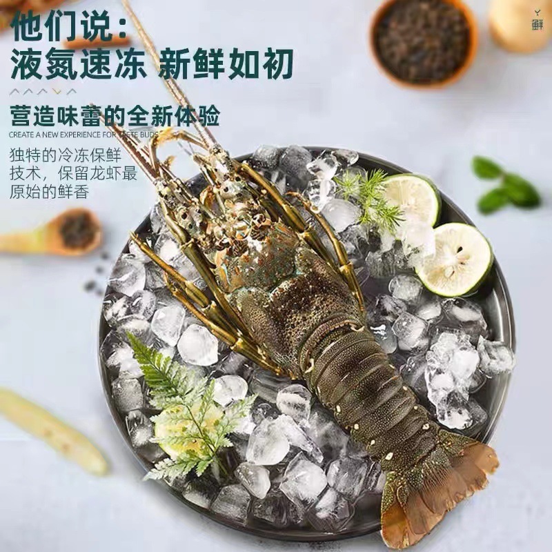 Một con tôm hùm xanh nhỏ.