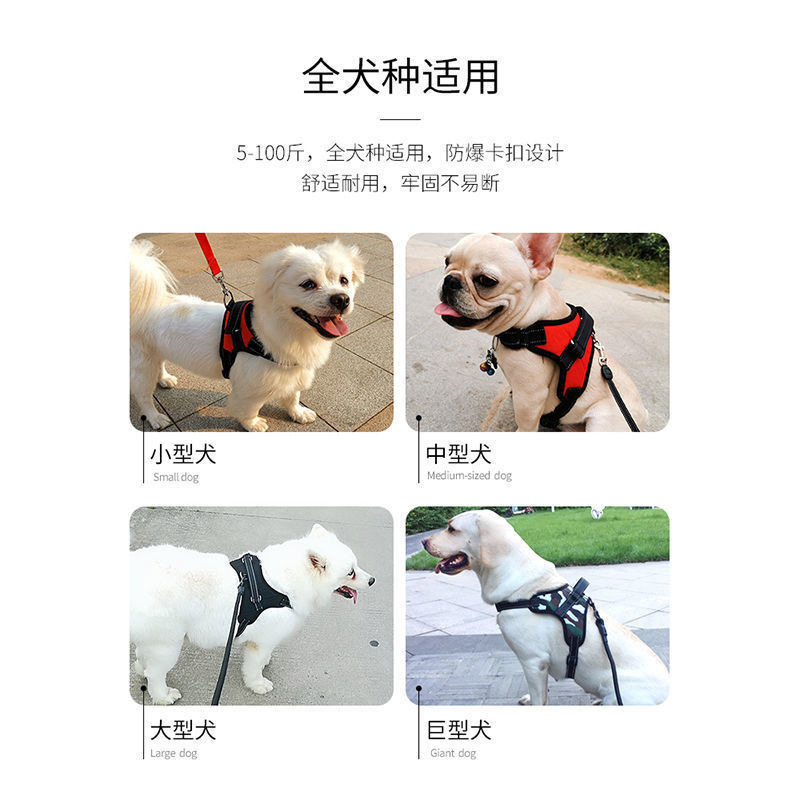 Nhà sản xuất bán cái lồng ngực của con chó từ ngực này sang ngực khác để thở bằng xương sườn của Oxford cho chó lai.