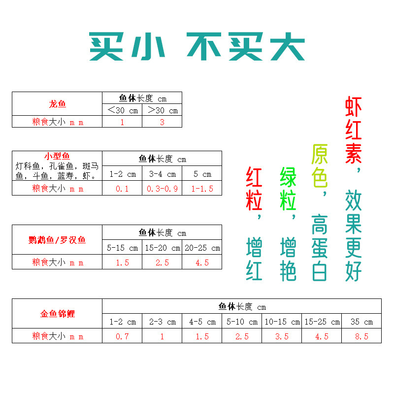 Người ta thấy những loại ngũ cốc tôm được phân phát và cá bị chìm để quan sát thư từ những con cá nhiệt đới của hồ cá tôm.