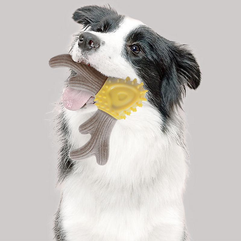 A new, cross-border dog-toy-friendly tooth-to-mouth-to-peat-toy-toy-to-bite-toy-toy-to-bite-toy-toy-toy-toy-toy-to-bite-toy-toy-toy-toy-toy-toy-toy-toy-toy-toy-toy-toy-toy-toy-toy-toy-toy-toy-toy-toy-toy-toy-toy-toy-toy-to-toy-toy-toy-toy-toy-toy-toy-toy-toy-toy-toy-toy-to-toy-toy-toy-toy-toy-toy-toy-to-to-toy-to-to-b-toy-toy-toy-to-toy-toy-toy-toy-toy-to-to-to-to-to-toy-to-to
