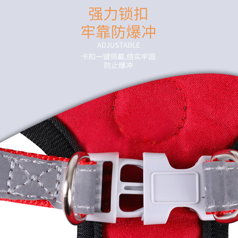 A new dog's chest with pets, Teddy's little dog's retrospect.
