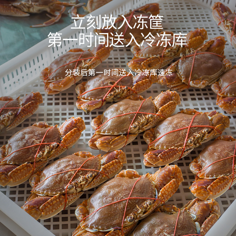 Địa điểm sản xuất hải sản của đảo Fujian Shan là nguồn cấp dữ liệu trực tiếp cho khách sạn Krabby Crab Crusts.