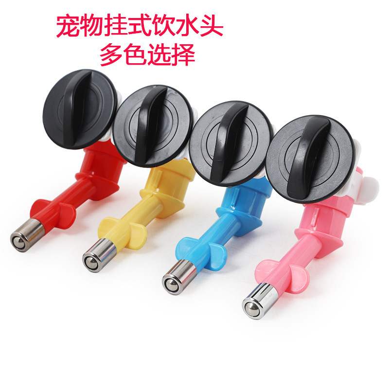 Uống vừa uống vừa uống Thú cưng