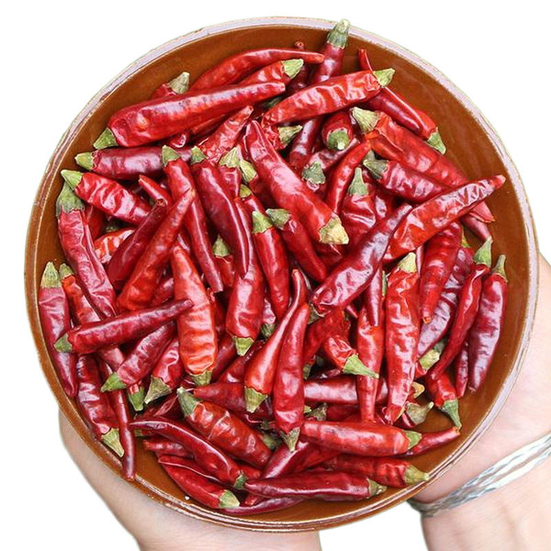 전체 캡, 인도 페퍼, 칠리 페퍼, 인도 악마 페퍼, 핫 코크 소스.