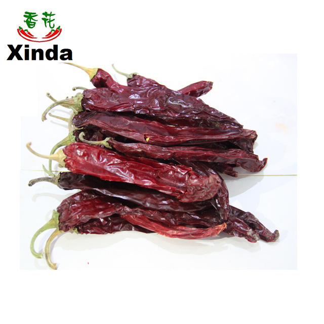 Thế hệ mới củanan.