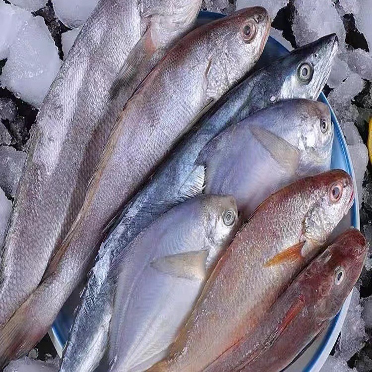 Thuyền đánh cá, cá và cá của Toshiyama, tươi từ con cá, đã đến nhà hàng bị phá hoại.