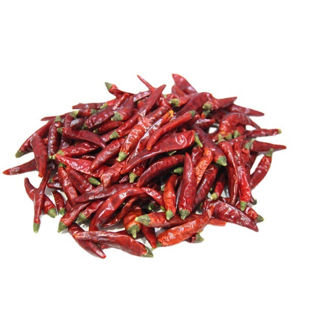 Chất lượng ớt ớt ớt cay