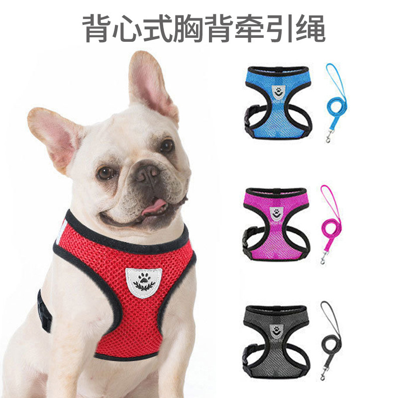 The pet-to-twirling dog-to-cat-to-cat-to-breath-to-be-repeated dog-to-dog chain item.