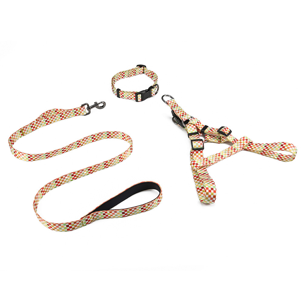 The Amazon pet set a tow rope, and the dog takes out three pairs of collars, walking the dog around the neck and cleaning his chest.