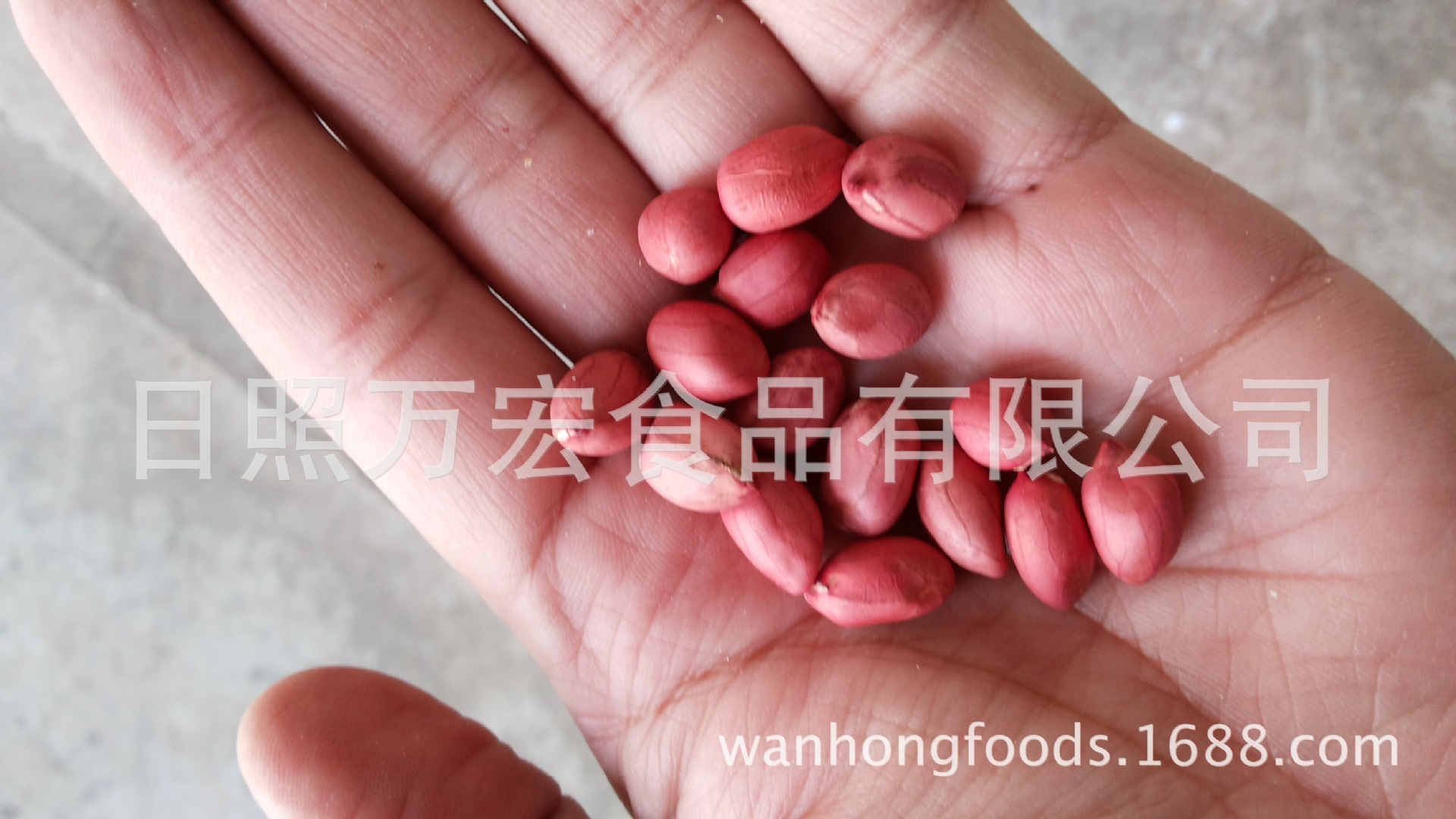 Export peanut rice, four red peanuts.