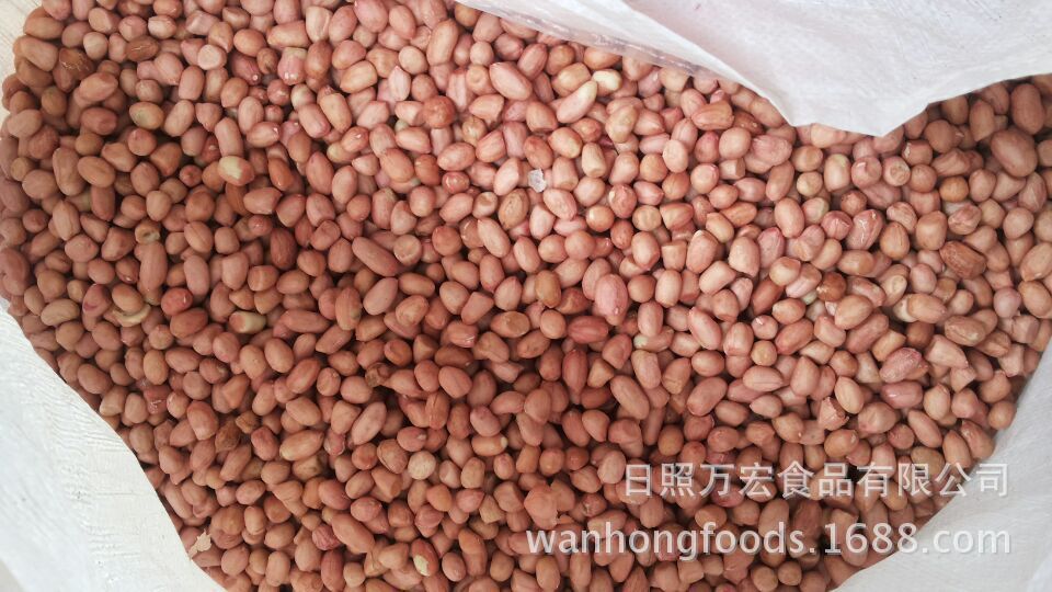 Northeast white sand peanuts, peanuts, white sand peanuts, little white sand peanuts, for export peanuts.