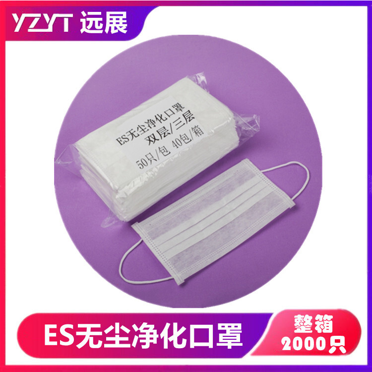 源头厂家一次性ES净化口罩亚光双层三层光滑不起毛屑整箱2000只