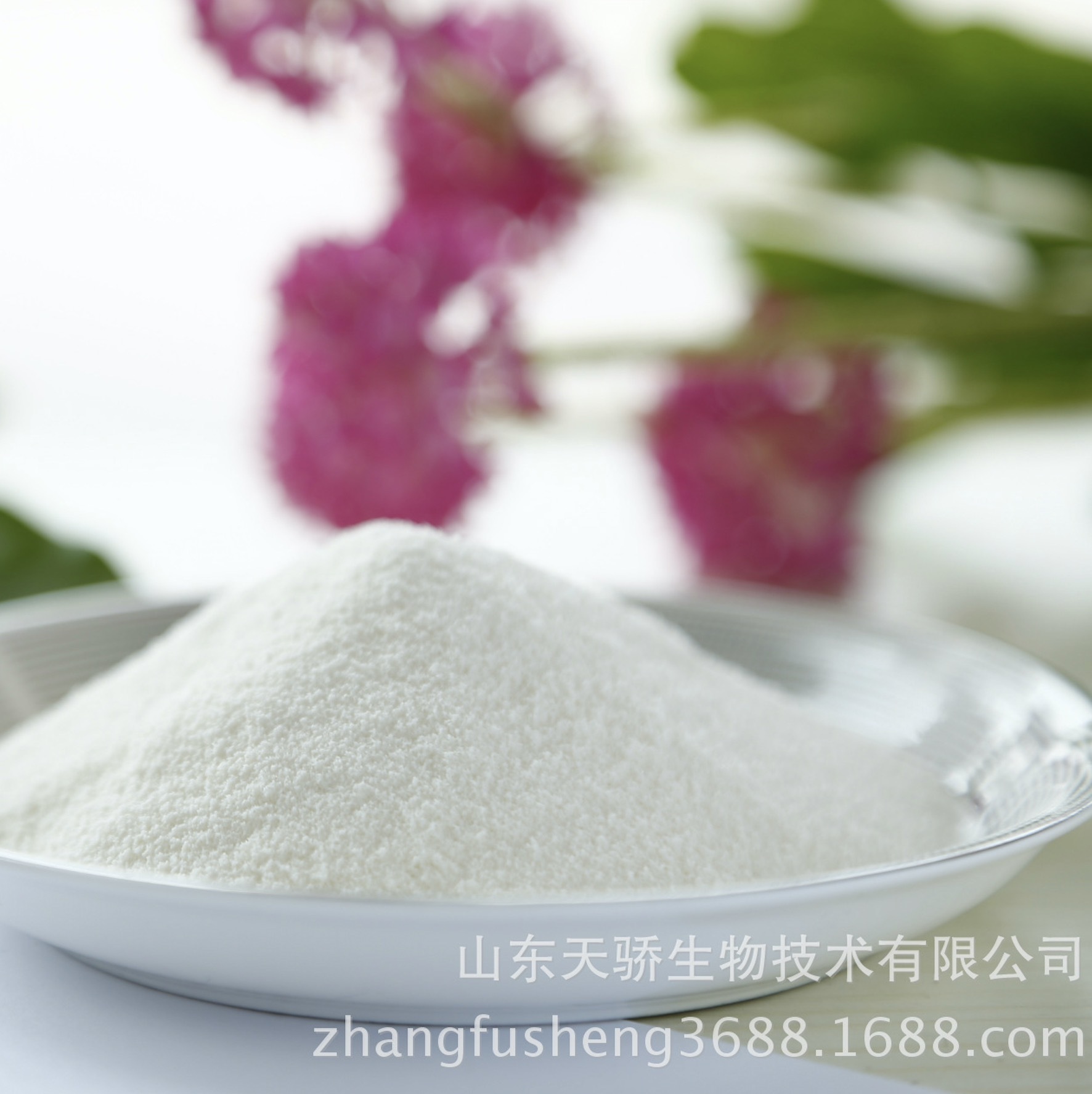 Powder fat, G60-1 sports drink raw materials, powdered with sub-oil acid.