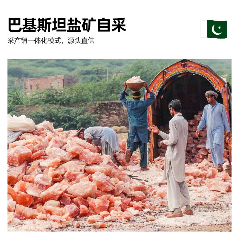 짠 장미, 파키스탄 수입 분말 소금, 히말라야 소금, 붉은 소금.