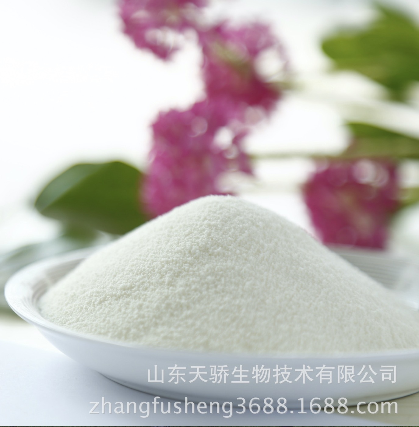 Powder fat, G60-1 sports drink raw materials, powdered with sub-oil acid.