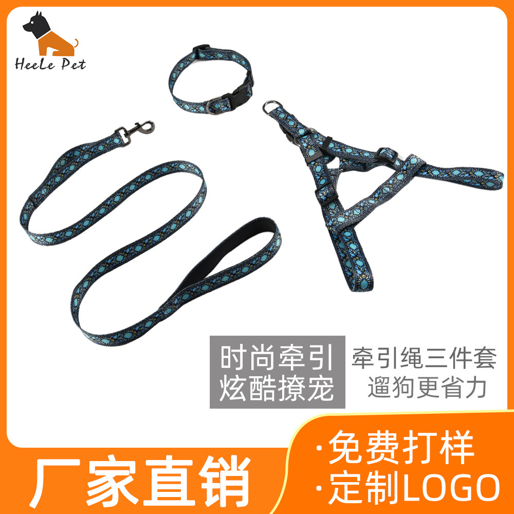 The Amazon pet set a tow rope, and the dog takes out three pairs of collars, walking the dog around the neck and cleaning his chest.