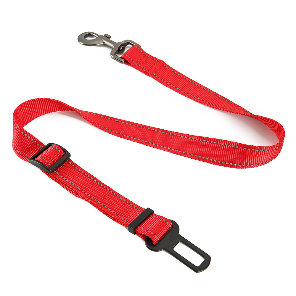 Con chó ngồi dây an toàn kéo nylon để làm bánh ngô cho thú nuôi.