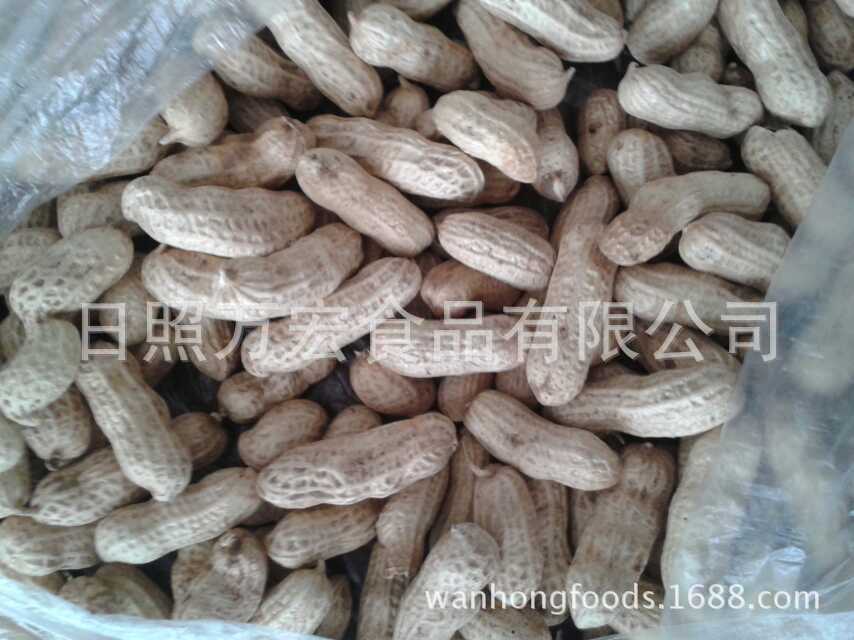 Production plants supply and export four red peanuts, four red peanuts and four reds in the north-east.