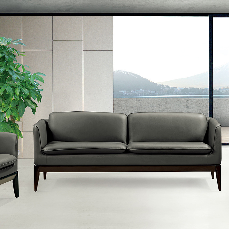 Đồ nội thất văn phòng, ghế sofa đơn giản, ba người, cay, áo khoác lông bò.