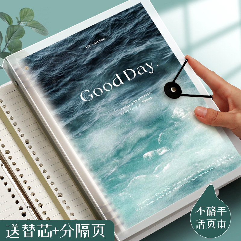 Tờ B5 không có mạng lưới, nhiều loại sổ ghi chép A5 có thể được gỡ bỏ khỏi lõi với những cuốn sổ dày hơn.