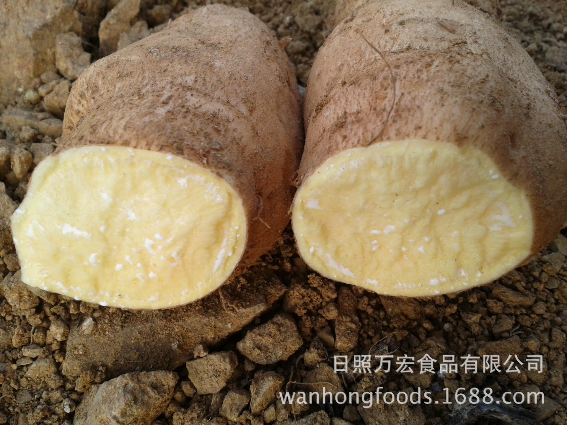 The plant supplies red-skin white cored melons, yellow-skind melons, red banana melons.