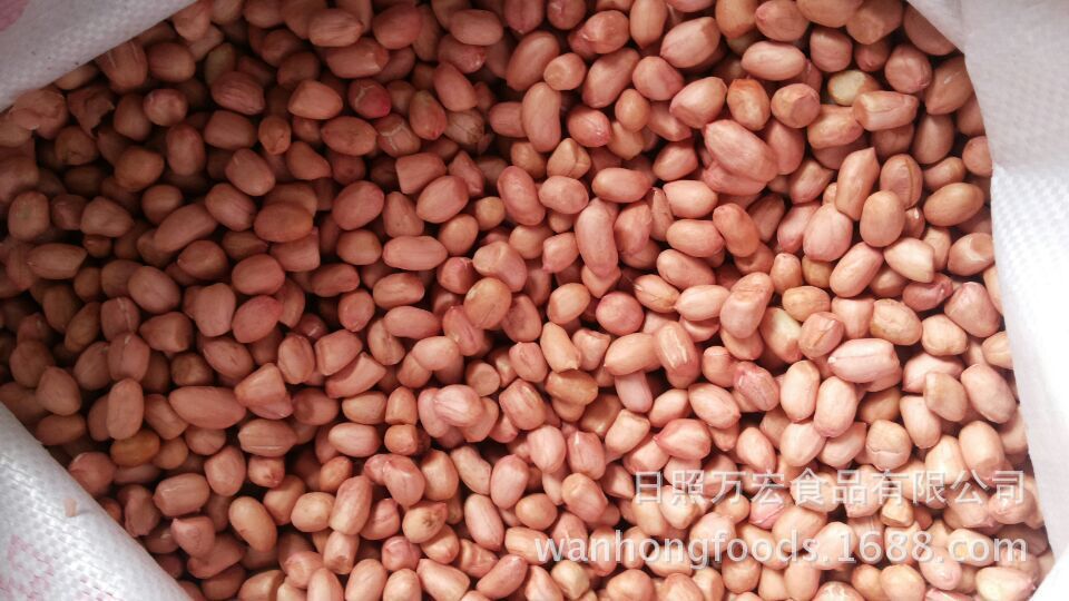 Northeast white sand peanuts, peanuts, white sand peanuts, little white sand peanuts, for export peanuts.