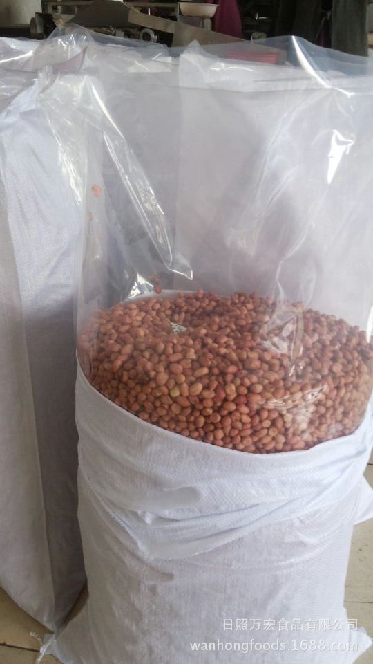 ♪ Out of Shandong peanuts, skinned peanuts, milked peanuts ♪